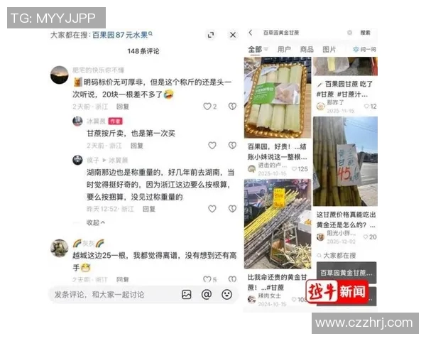 评论热议：这款产品为何引发如此广泛讨论，消费者反馈揭示了哪些优缺点